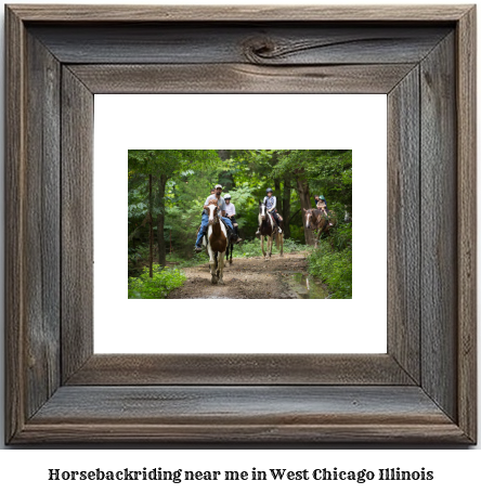 horseback riding near me in West Chicago, Illinois